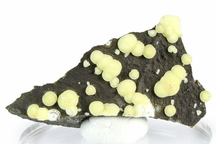 Globular Yellow Calcite Formations on Basalt - Italy #368860